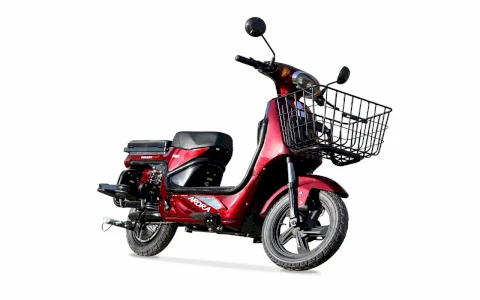 ARORA BORA Elektrikli Scooter